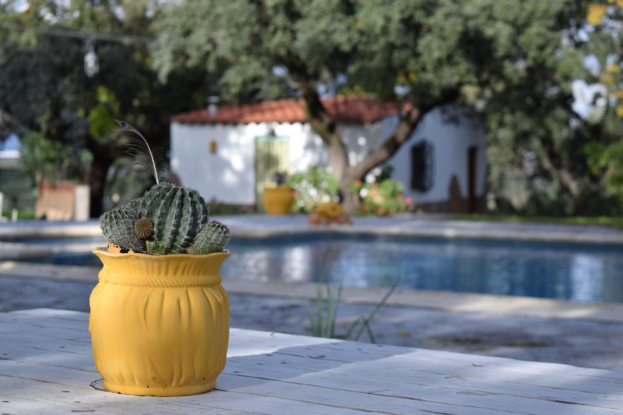 Casa Rural La Coscoja Mérida Luaran gambar
