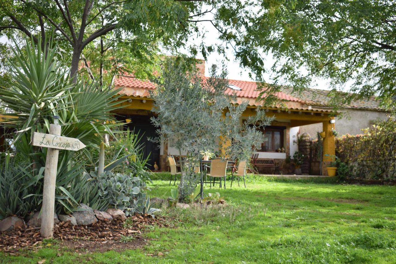 Casa Rural La Coscoja Mérida Luaran gambar