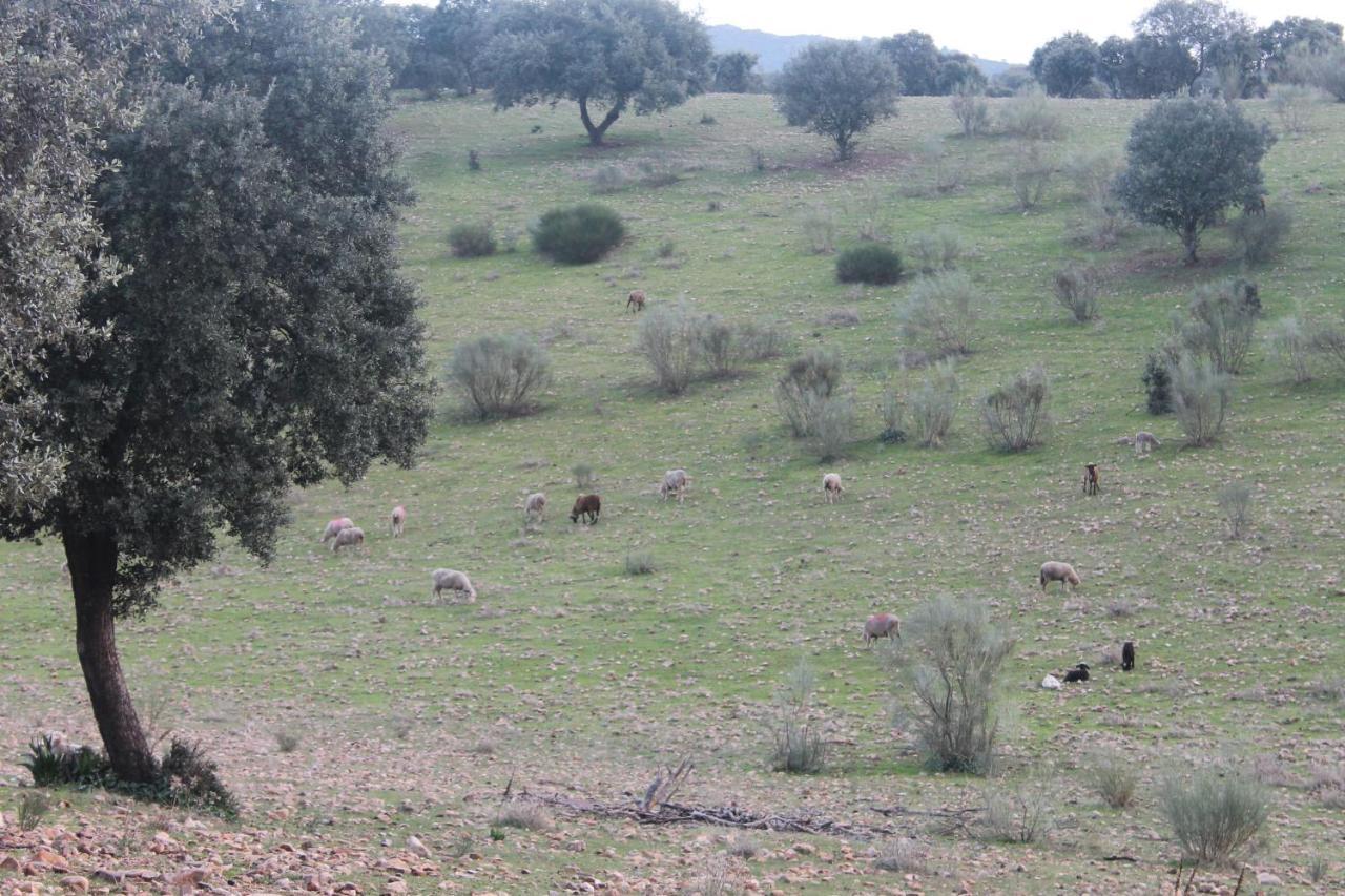 Casa Rural La Coscoja Mérida Luaran gambar